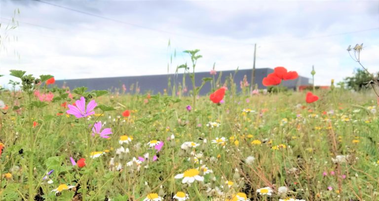 Global Biodiversity Score