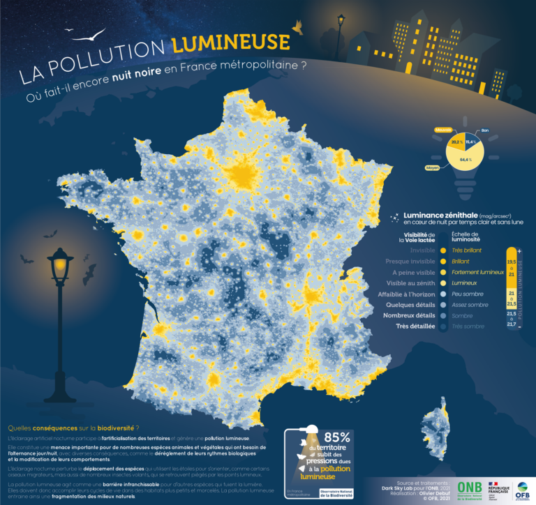 Qu’est-ce que la pollution lumineuse et comment restaurer la trame noire ?