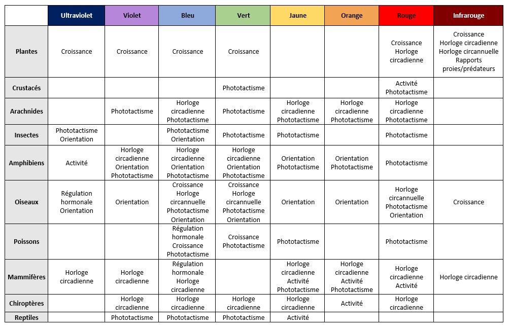 Qu’est-ce que la pollution lumineuse et comment restaurer la trame noire ?