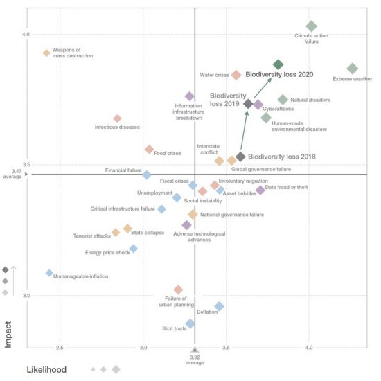 World Economic Forum Biodiveristy Global Risks